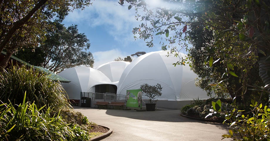 acb auckland zoo the domes