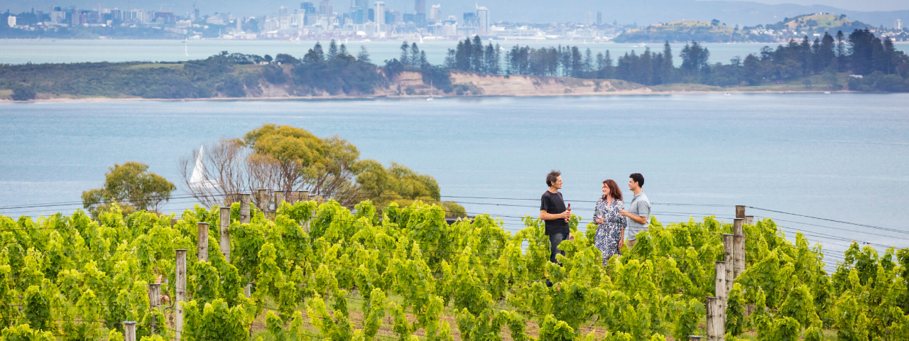 Wine on Waiheke Island