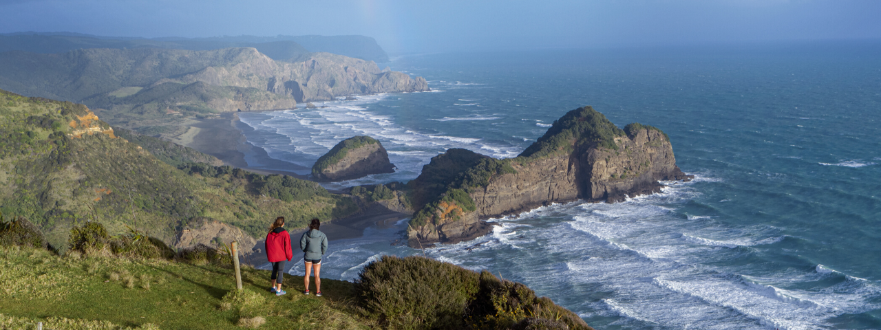 Hiking in West Auckland