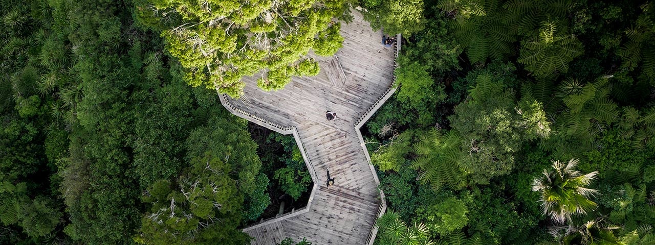 Aerial view of people on a wooden platform surrounded by native bush at Arataki Visitor Centre