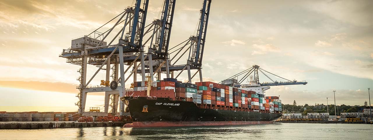 Cargo ship docked at port under three large cranes