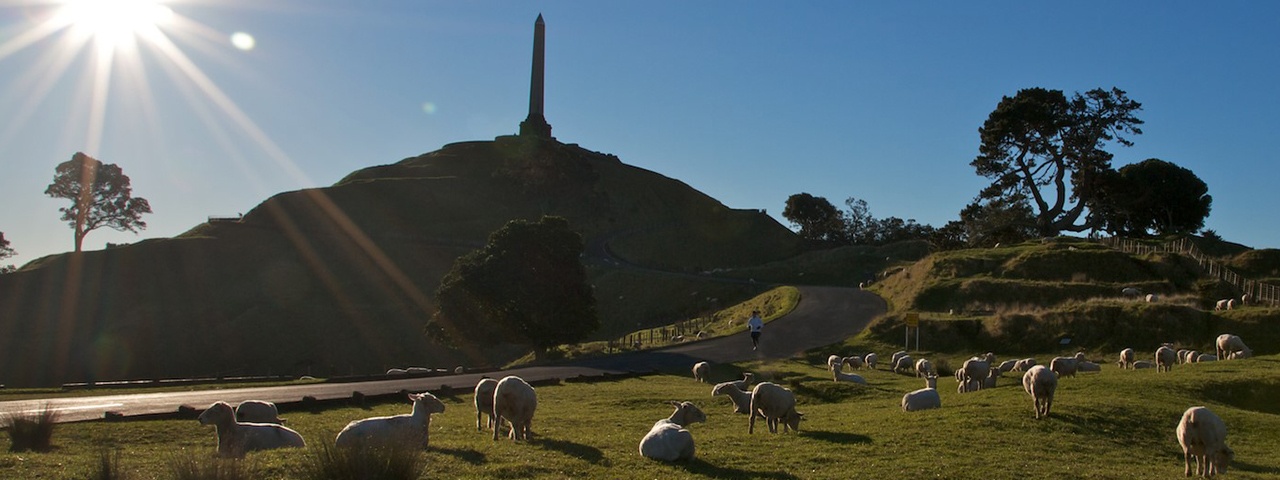 A few sheep in the foreground of Auckland's Maungakiekie - One Tree Hill