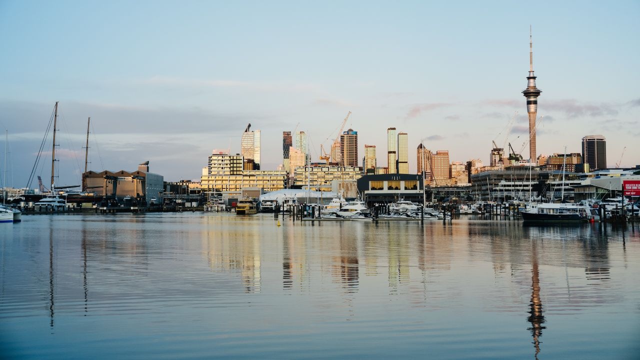 Auckland city from Westhaven