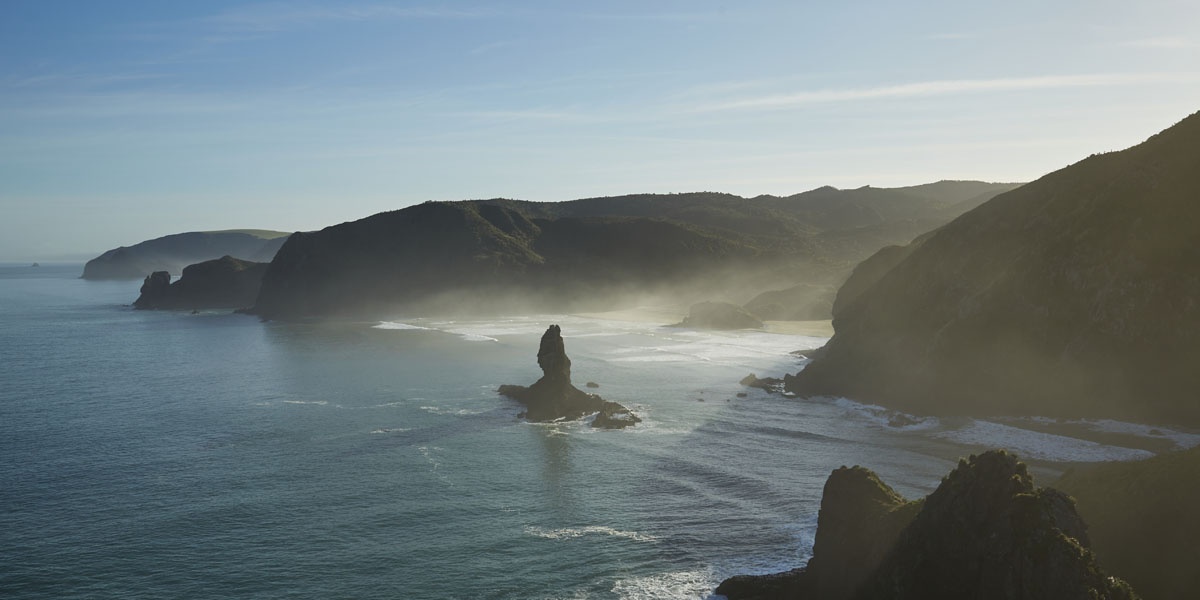 Aerial view of Piha Beach