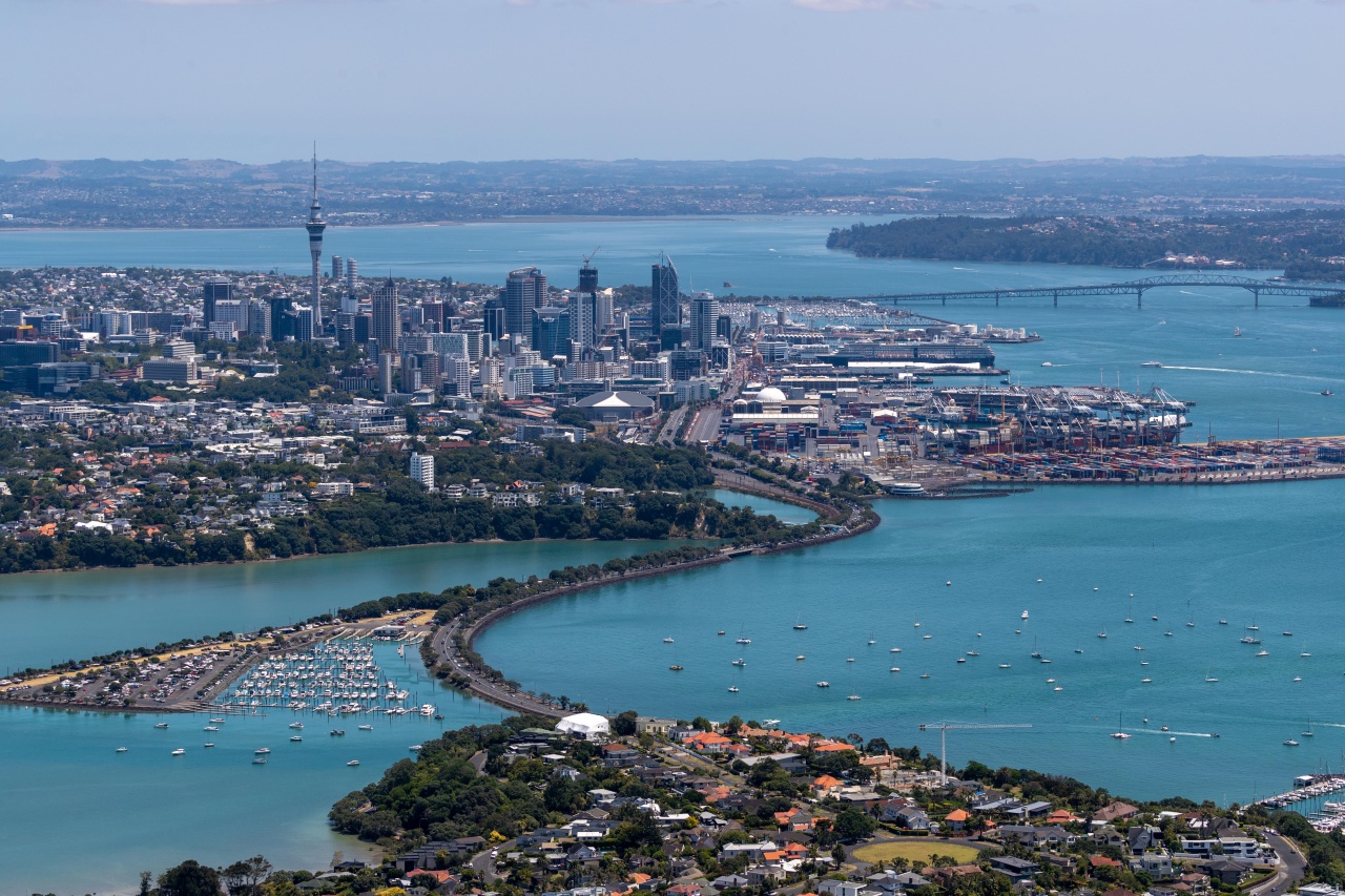 Auckland City Skyline