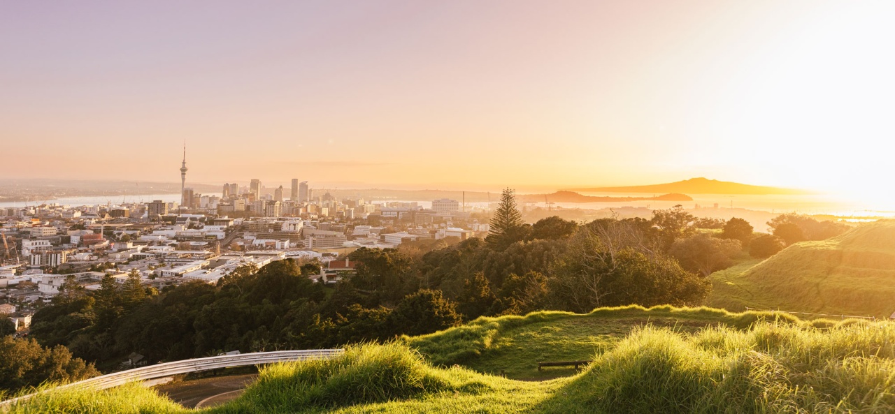 View from Mt Eden