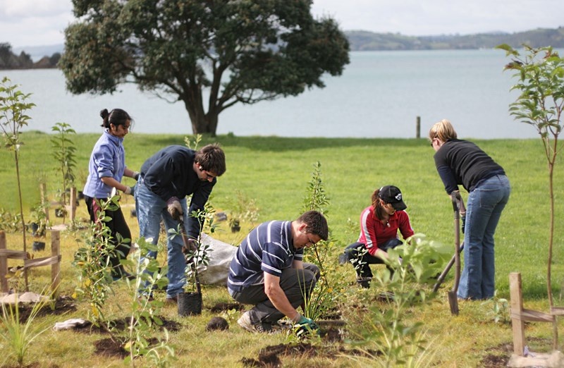 A group of people planting trees on Motutapu Island