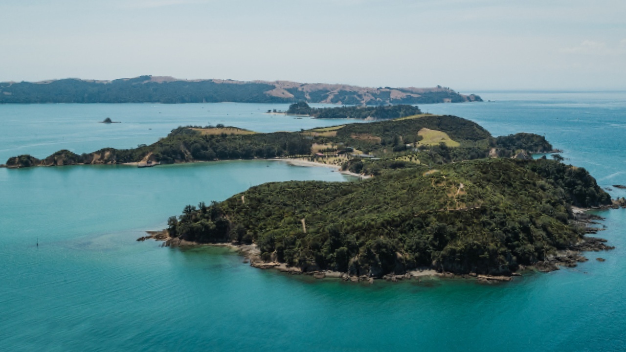 Aerial view of Rotoroa Island