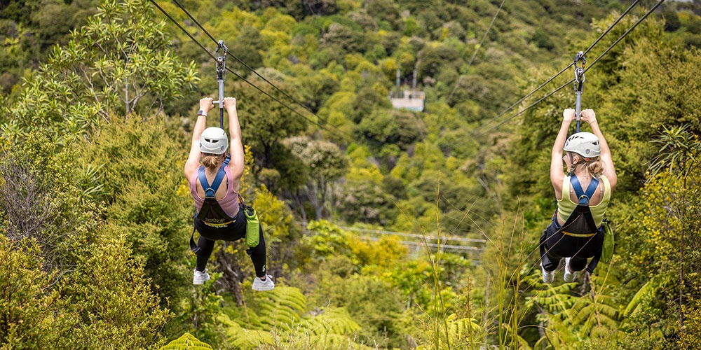 Two people ziplining through trees on Waiheke Island