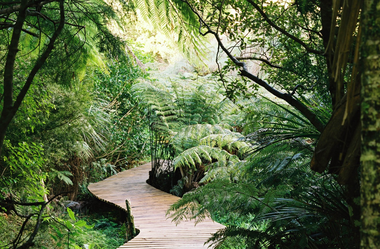 Photo of Brick Bay Sculpture Trail, Snells Beach, Snells Beach