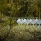 Photo of Brick Bay Sculpture Trail, Snells Beach, Snells Beach