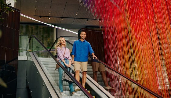 Couple shopping
