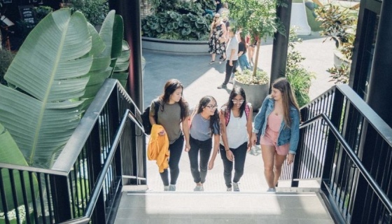 Four students walking up an outdoor staircase