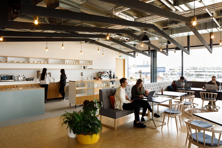 People working on laptops in a cafe