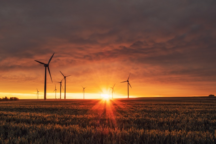 Sunset and wind turbine in the background