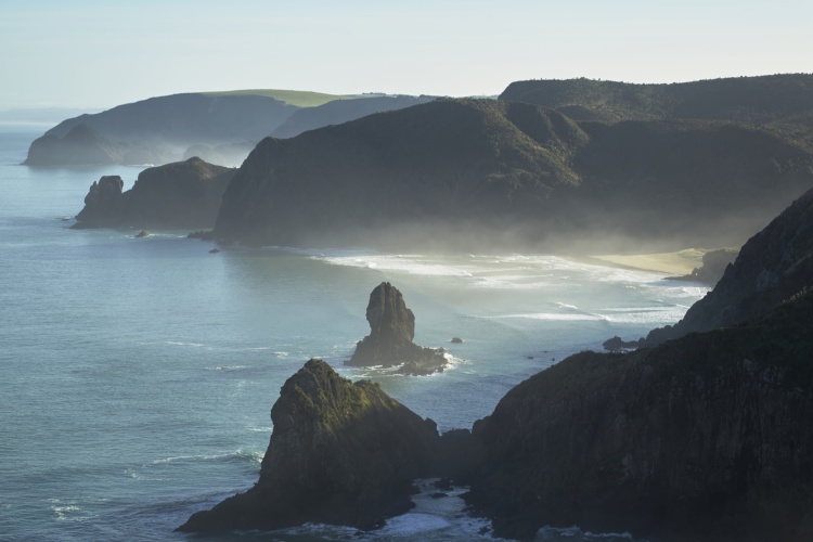 West coast of Auckland